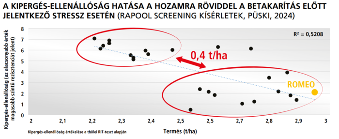 A kipergés-ellenállóság hatása a hozamra röviddel a betakarítás előtt jelentkező stressz esetén