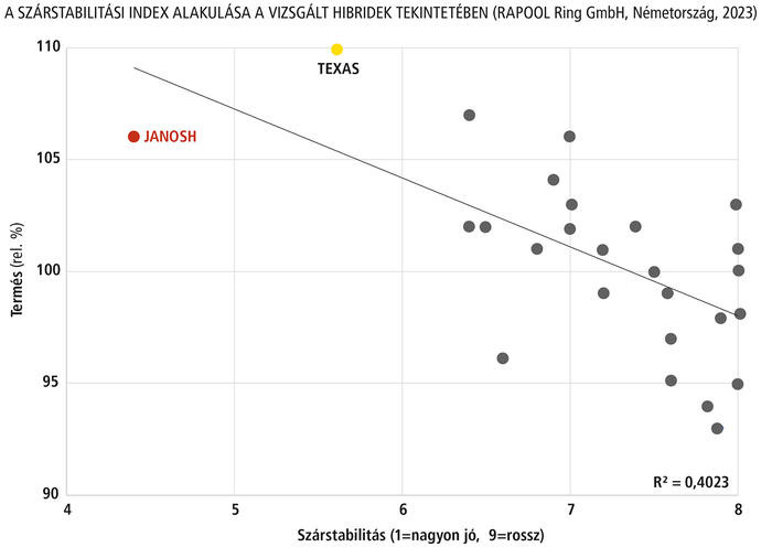 A szárstabilitási index alakulása a vizsgált hibridek tekintetében