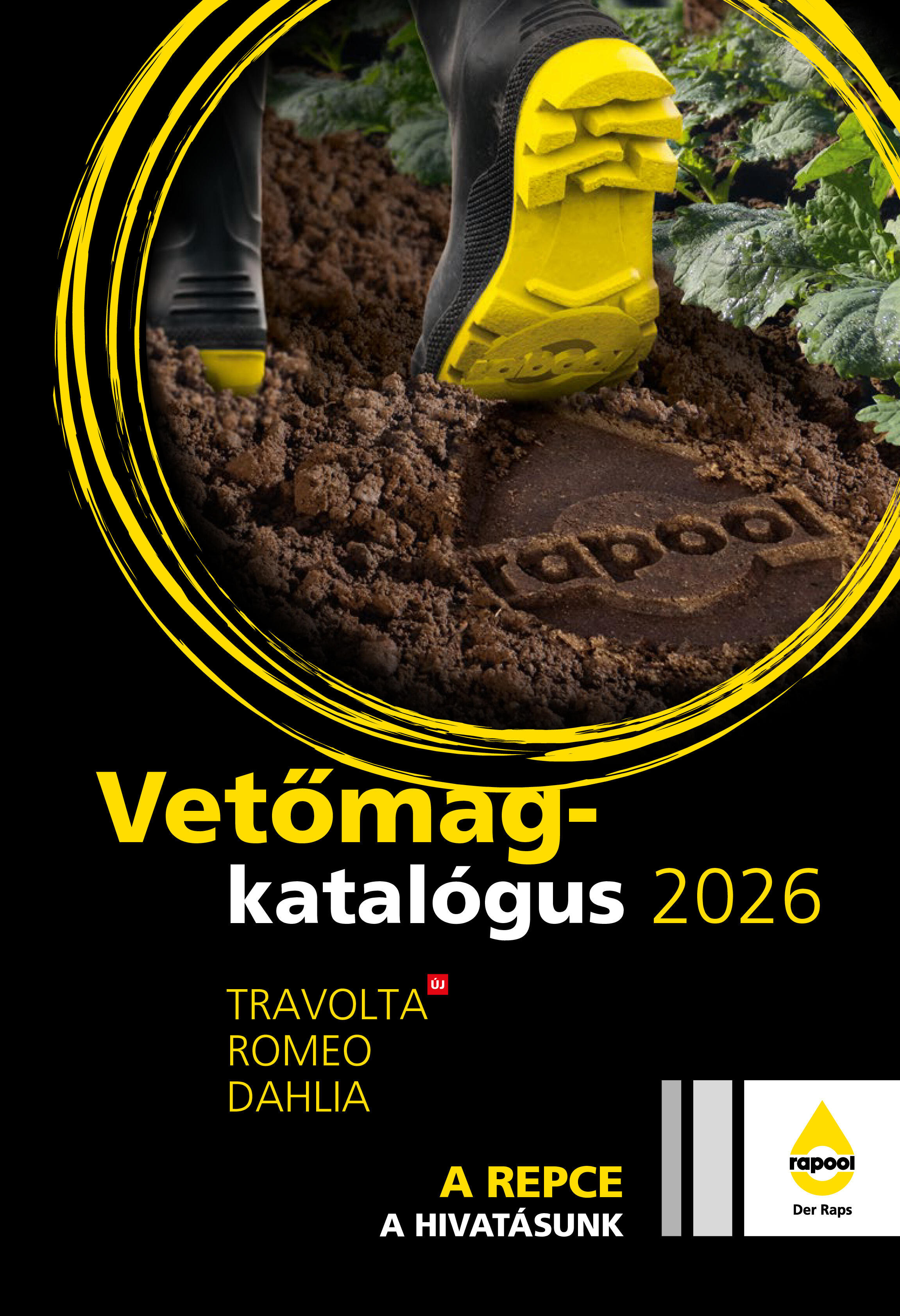 Katalógusok, kiadványok